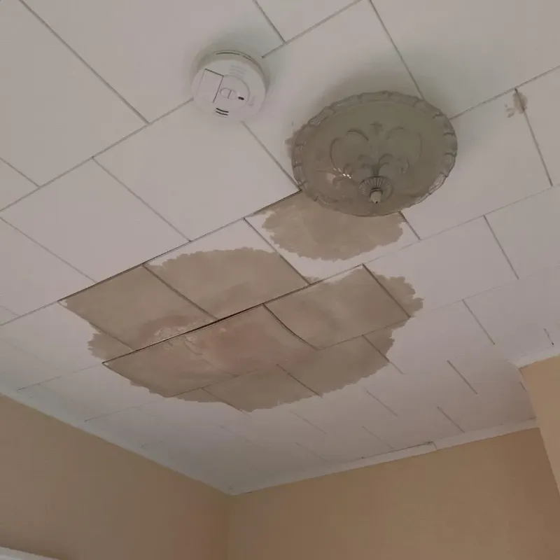 Ceiling Water Damage Repair in Rushford, MN